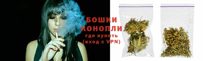 Каннабис OG Kush  Кедровый 